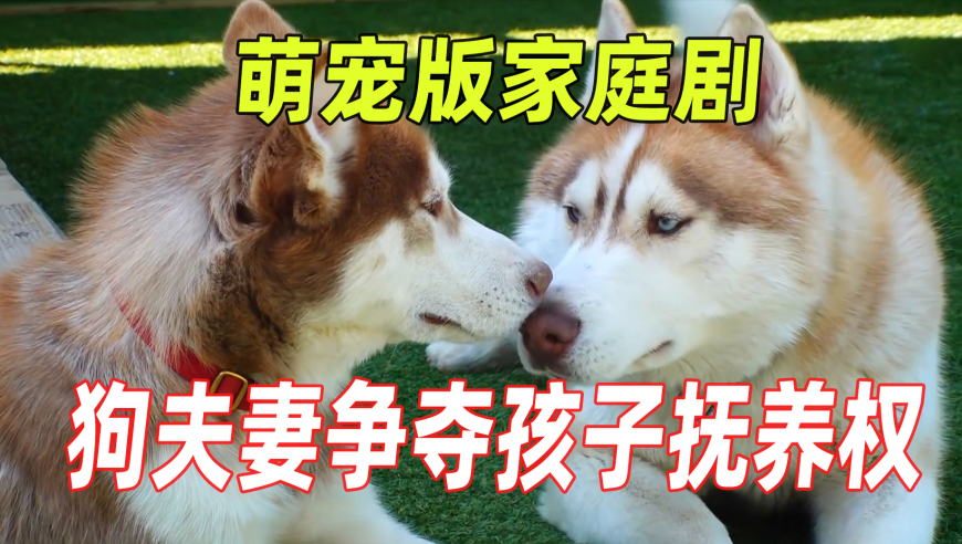 2025年澳门301期开什么号码,德国联盟党赢大选,展开计划实施_钻石版V4.32